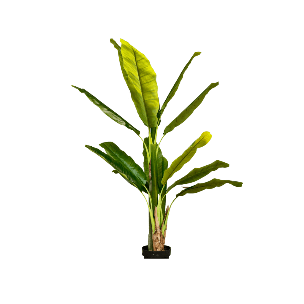 Artificial Banana Tree Edenko Thailand