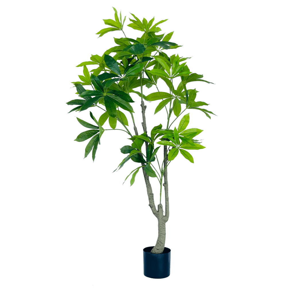 130cm Artificial Pachira Tree Edenko Thailand front-office-sports-university-of-tulsa-football-players-and-their