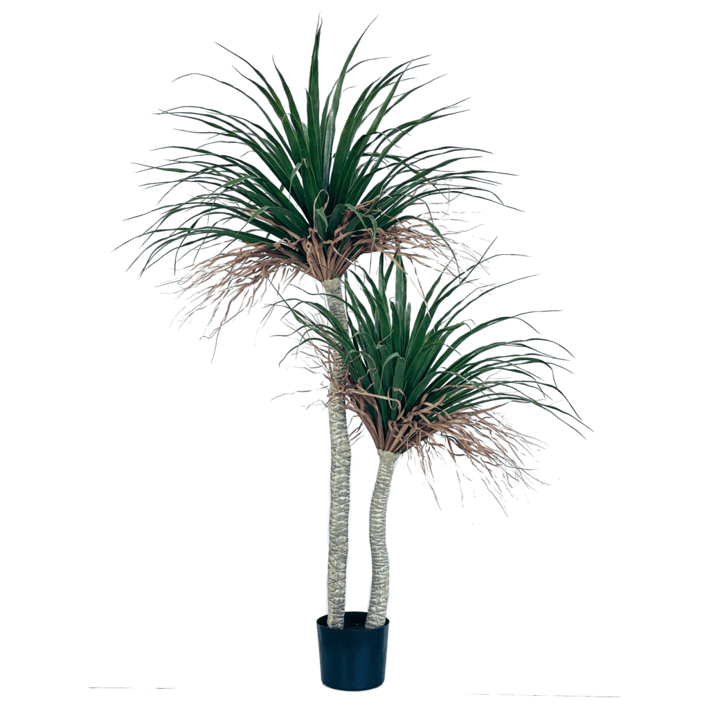 180cm 2Trunk Yucca Artificial Plant with 21 Shiny Leaves Edenko Thailand