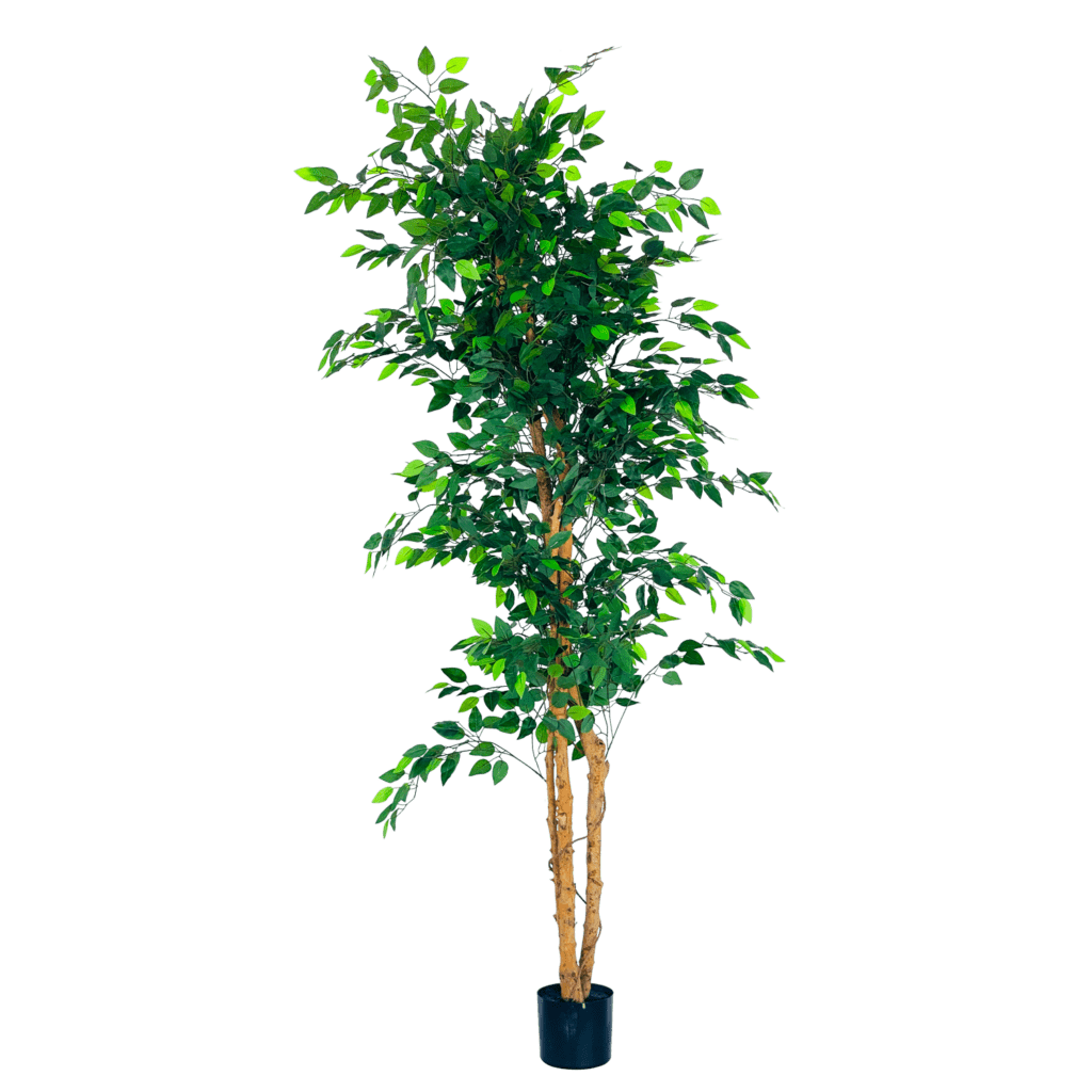 3Trunk 190cm Artificial Ficus Tree Edenko Thailand