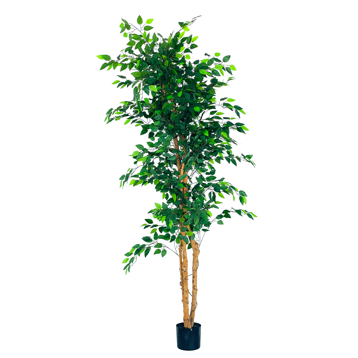 3-Trunk 190cm Artificial Ficus Tree – Edenko Thailand