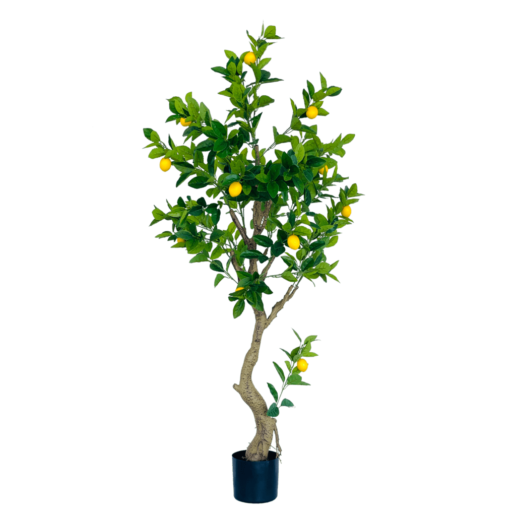 155cm Artificial Lemon Tree Edenko Thailand