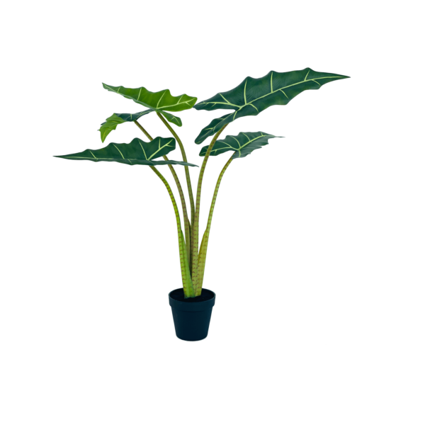 90cm Artificial Sarian Alocasia with 5 Leaves – Edenko Thailand