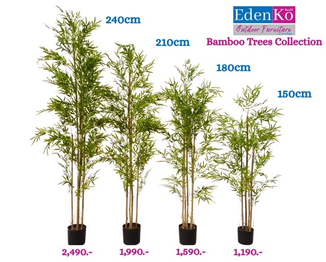 Copy of ***D PSD*** - 42