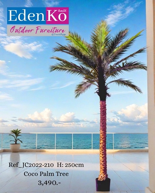 Copy of ****FB**** OUTDOOR 1080 x 1350 - Ref_JC2022-210 H: 250cm Coco Palm Tree
