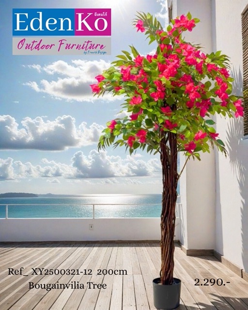 Copy of ****FB**** OUTDOOR 1080 x 1350 - Ref_ XY2500321-12 200cm Bougainvilia Tree