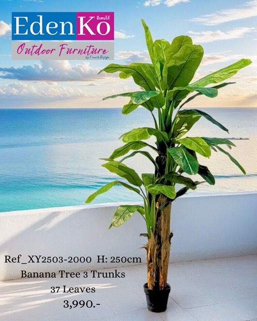 Copy of ****FB**** OUTDOOR 1080 x 1350 - Ref_XY2503-2000 H: 250cm Banana Tree 3 Trunks 37 Leaves