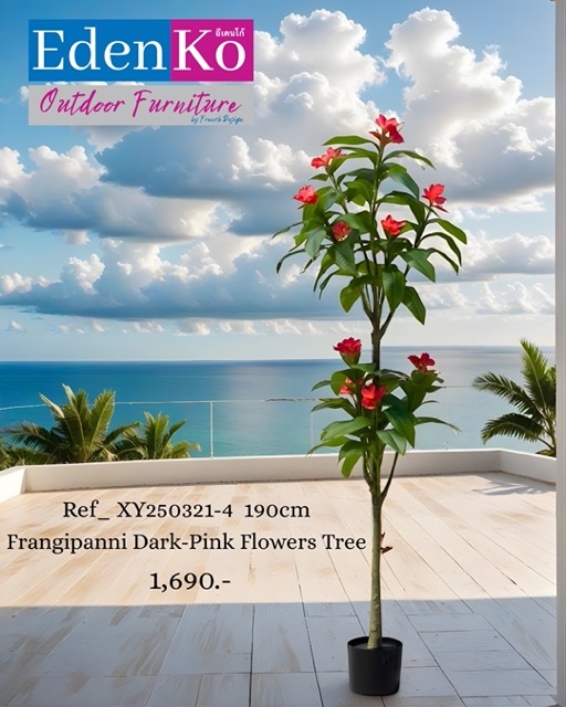 Copy of ****FB**** OUTDOOR 1080 x 1350 - Ref_ XY250321-4 190cm Frangipanni Dark-Pink Flowers Tree
