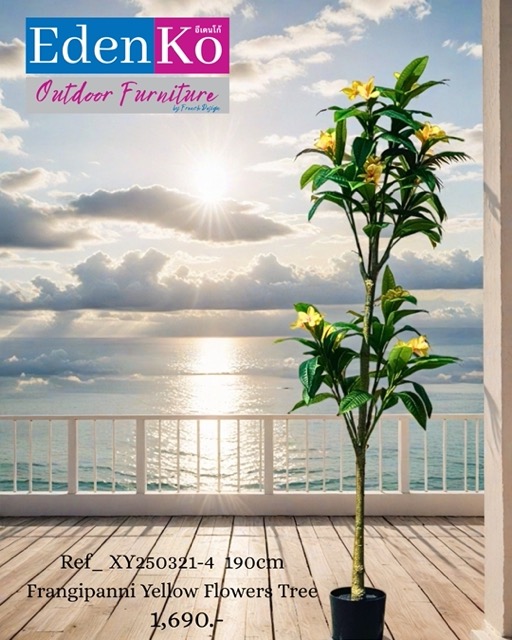 Copy of ****FB**** OUTDOOR 1080 x 1350 - Ref_ XY250321-4 190cm Frangipanni Yellow Flowers Tree