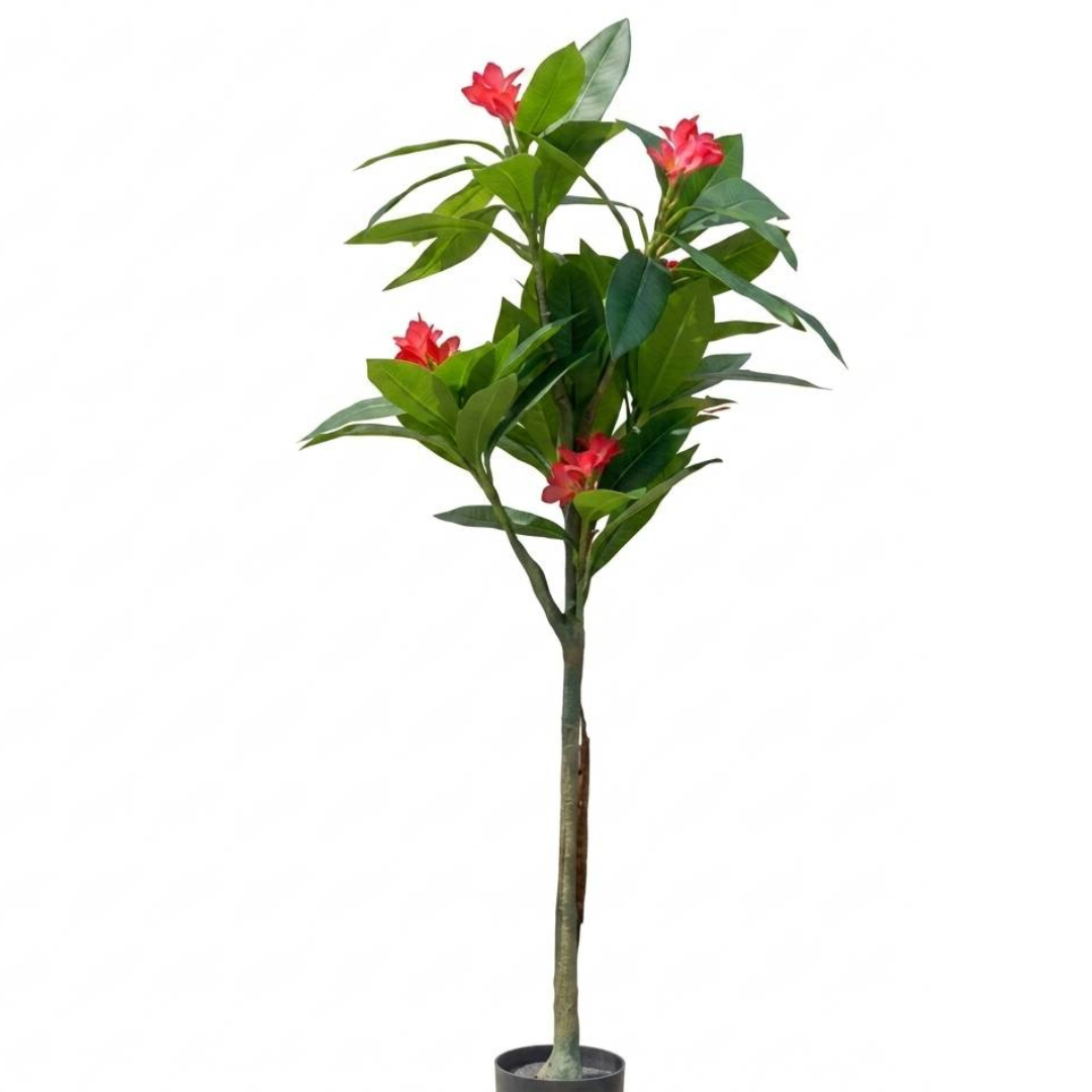 Untitled design (2)