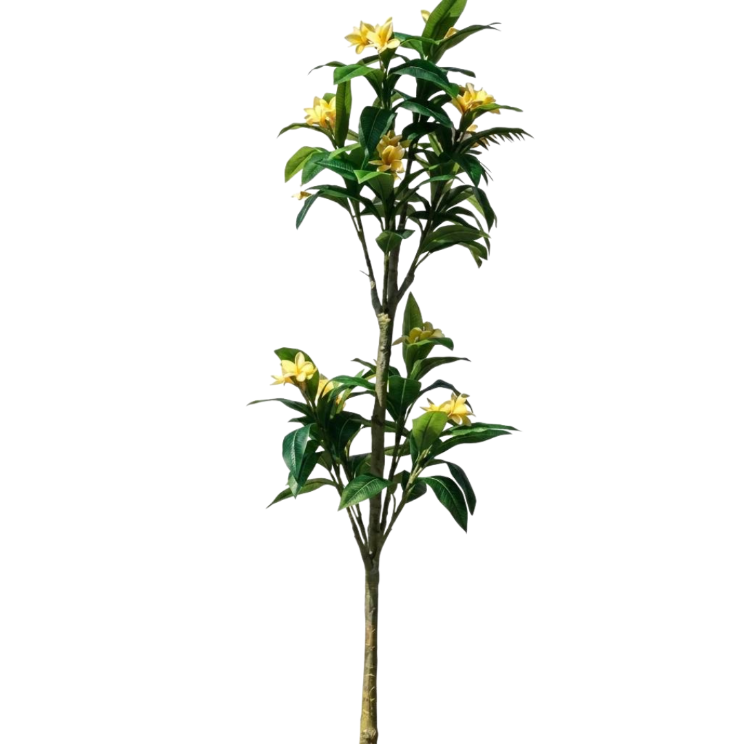 Untitled design