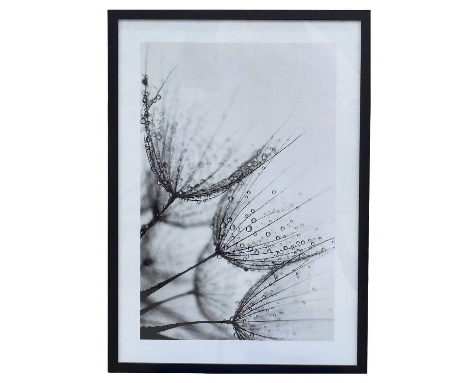 38 50 x 70 cm Handmade Oil Painting with MDF Black Painted Grande