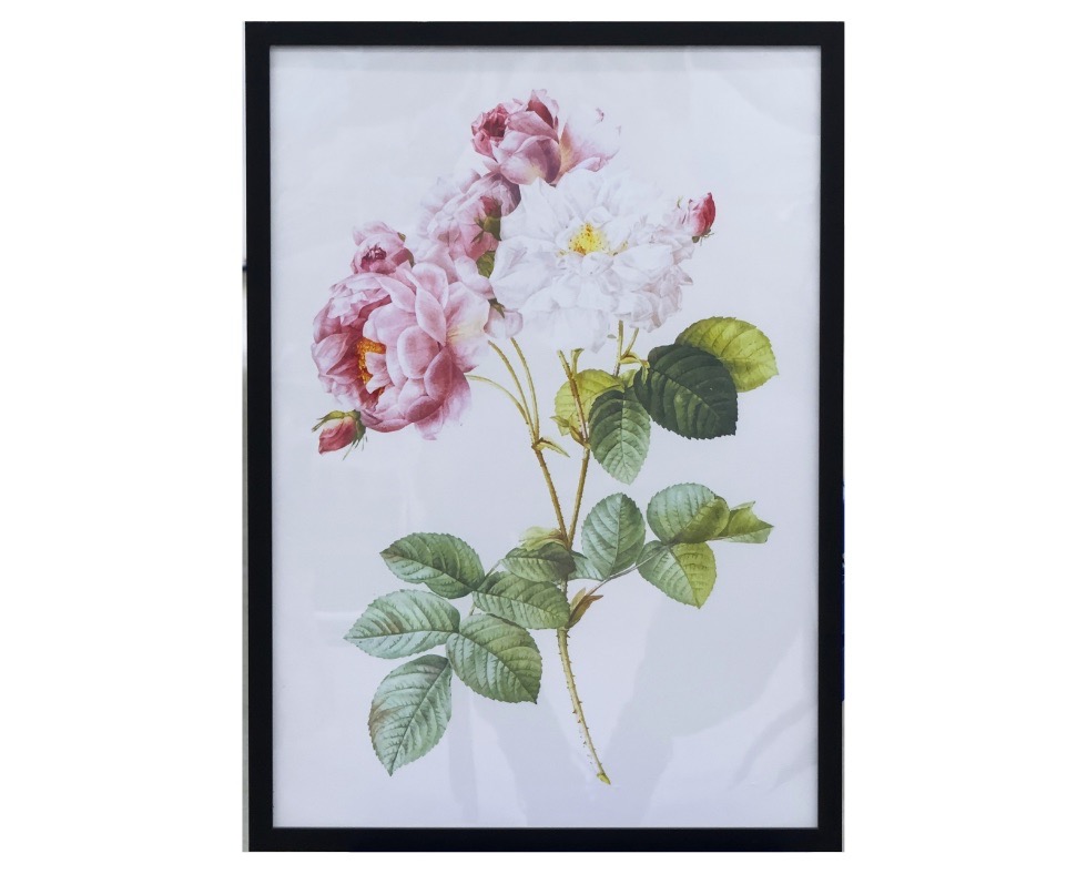 43 50 x 70 cm Handmade Oil Painting with MDF Black Painted Grande