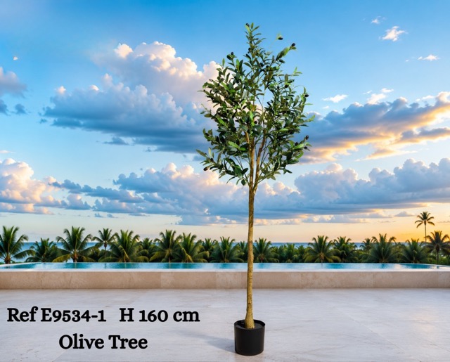 E 07/26 - Olive tree Ref E9534-1 160 cm